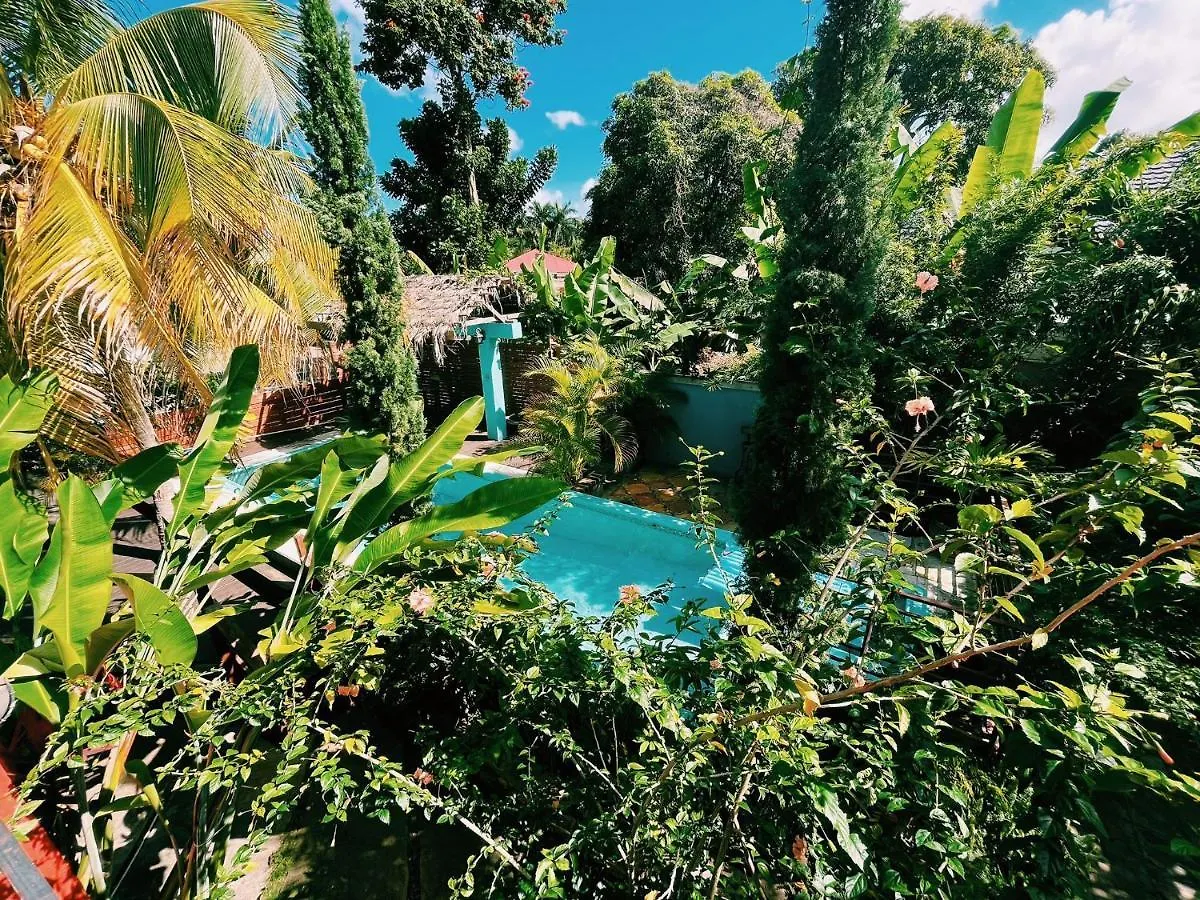 Hidden Gem @ White River Ocho Rios - Secluded Retreat For Two kontakter